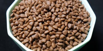 Unlock Your Dog’s Best Health: Discover the Best Dog Food for Weight Loss and Joints
