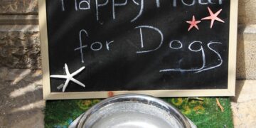 Discover the Best Dog Food for Weight Loss and Allergies: Your Ultimate Guide