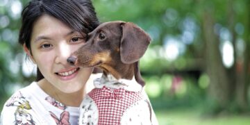 Top Trends in Small Dog Clothes: What's Hot This Season