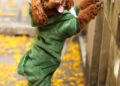 Stay Dry and Stylish: The Best Dog Rain Coats for Your Furry Friend