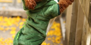 Stay Dry and Stylish: The Best Dog Rain Coats for Your Furry Friend